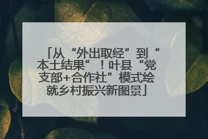 从“外出取经”到“本土结果”！叶县“党支部+合作社”模式绘就乡村振兴新图景