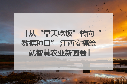 从“靠天吃饭”转向“数据种田” 江西安福绘就智慧农业新画卷