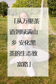 从万里茶道到绿满山乡 安化黑茶的生态致富路
