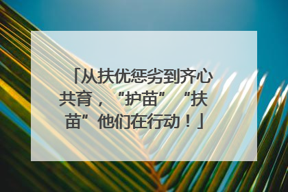 从扶优惩劣到齐心共育，“护苗”“扶苗”他们在行动！