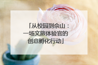 从校园到佘山：一场文旅体验官的创意孵化行动