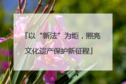 以“新法”为炬，照亮文化遗产保护新征程