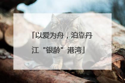 以爱为舟，泊靠丹江“银龄”港湾