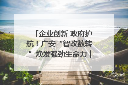 企业创新 政府护航！广安“智改数转”焕发强劲生命力｜市州焕新力