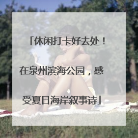 休闲打卡好去处！在泉州滨海公园，感受夏日海岸叙事诗
