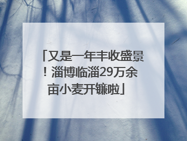 又是一年丰收盛景！淄博临淄29万余亩小麦开镰啦