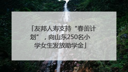 友邦人寿支持“春蕾计划”，向山东250名小学女生发放助学金