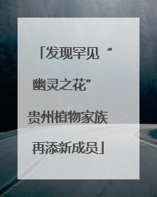 发现罕见“幽灵之花” 贵州植物家族再添新成员