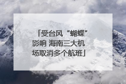 受台风“蝴蝶”影响 海南三大机场取消多个航班