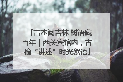 古木阅吉林 树语藏百年｜西关宾馆内，古榆“讲述”时光絮语