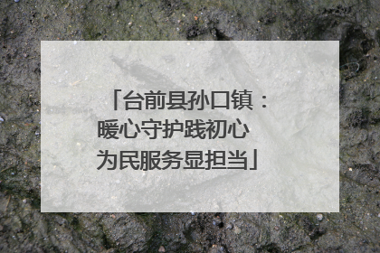 台前县孙口镇：暖心守护践初心 为民服务显担当
