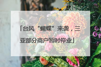 台风“蝴蝶”来袭，三亚部分商户暂时停业