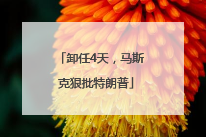 卸任4天，马斯克狠批特朗普