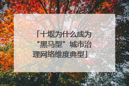 十堰为什么成为“黑马型”城市治理网络维度典型