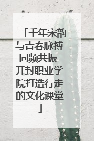 千年宋韵与青春脉搏同频共振 开封职业学院打造行走的文化课堂