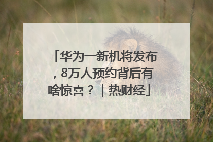 华为一新机将发布，8万人预约背后有啥惊喜？｜热财经