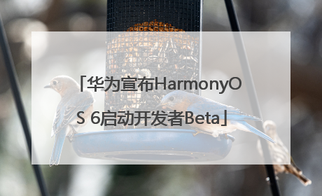 华为宣布HarmonyOS 6启动开发者Beta