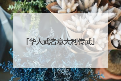华人武者意大利传武
