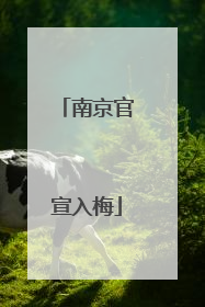 南京官宣入梅
