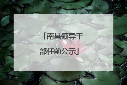南昌领导干部任前公示