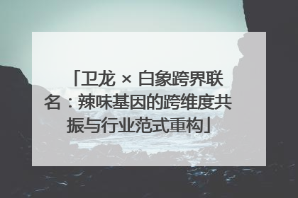 卫龙 × 白象跨界联名：辣味基因的跨维度共振与行业范式重构