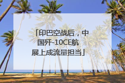 印巴空战后，中国歼-10CE航展上成流量担当