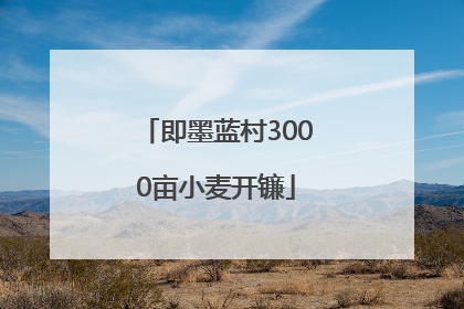 即墨蓝村3000亩小麦开镰