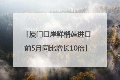 厦门口岸鲜榴莲进口 前5月同比增长10倍