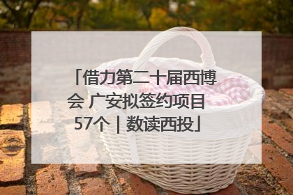 借力第二十届西博会 广安拟签约项目57个｜数读西投