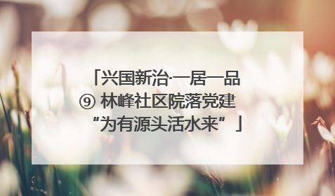 兴国新治·一居一品⑨ 林峰社区院落党建“为有源头活水来”