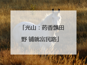 光山：药香飘田野 铺就富民路