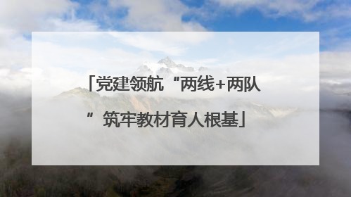党建领航“两线+两队”筑牢教材育人根基