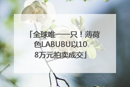 全球唯一一只！薄荷色LABUBU以108万元拍卖成交