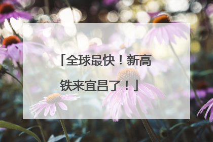 全球最快！新高铁来宜昌了！