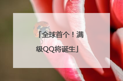 全球首个！满级QQ将诞生
