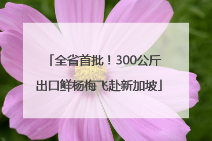 全省首批！300公斤出口鲜杨梅飞赴新加坡