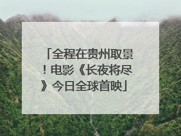 全程在贵州取景！电影《长夜将尽》今日全球首映