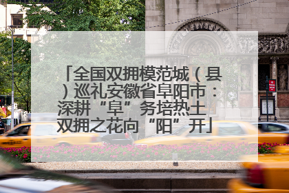 全国双拥模范城（县）巡礼安徽省阜阳市：深耕“阜”务培热土 双拥之花向“阳”开