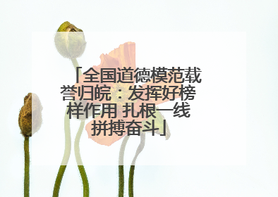 全国道德模范载誉归皖：发挥好榜样作用 扎根一线拼搏奋斗