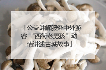 公益讲解服务中外游客 “西街老男孩”动情讲述古城故事
