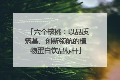 六个核桃：以品质筑基、创新领航的植物蛋白饮品标杆