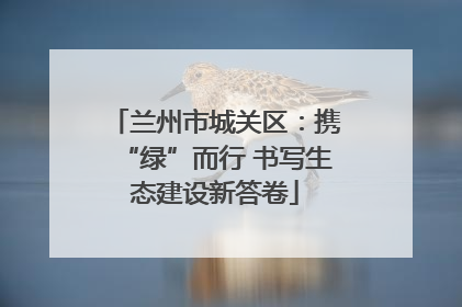 兰州市城关区：携“绿”而行 书写生态建设新答卷
