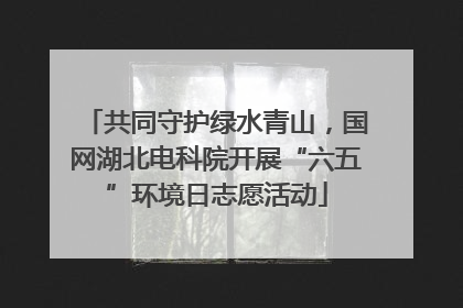 共同守护绿水青山，国网湖北电科院开展“六五”环境日志愿活动