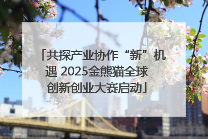 共探产业协作“新”机遇 2025金熊猫全球创新创业大赛启动