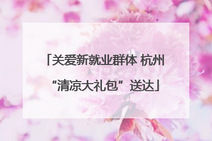 关爱新就业群体 杭州“清凉大礼包”送达