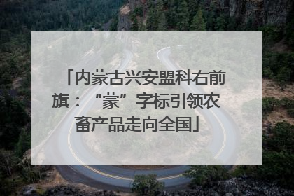 内蒙古兴安盟科右前旗：“蒙”字标引领农畜产品走向全国