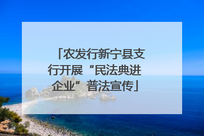 农发行新宁县支行开展“民法典进企业”普法宣传