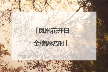 凤凰花开日 金榜题名时