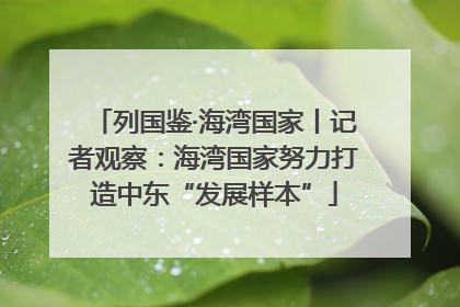 列国鉴·海湾国家丨记者观察：海湾国家努力打造中东“发展样本”