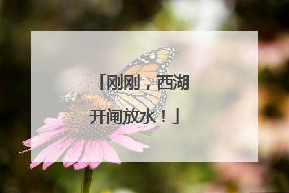 刚刚，西湖开闸放水！